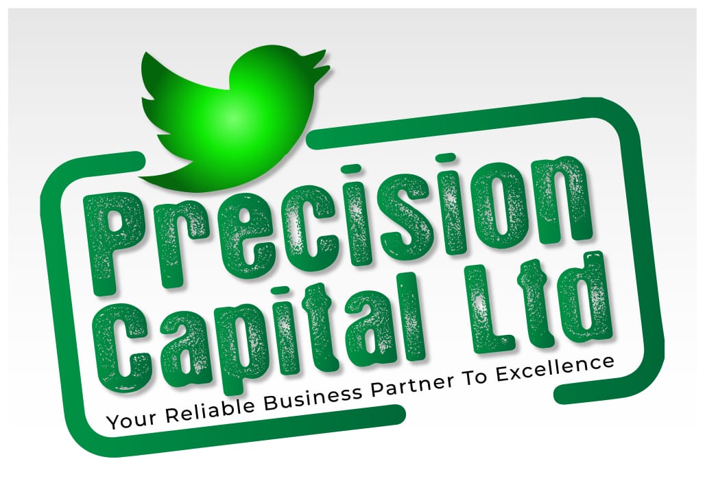 Precision Capital Ltd